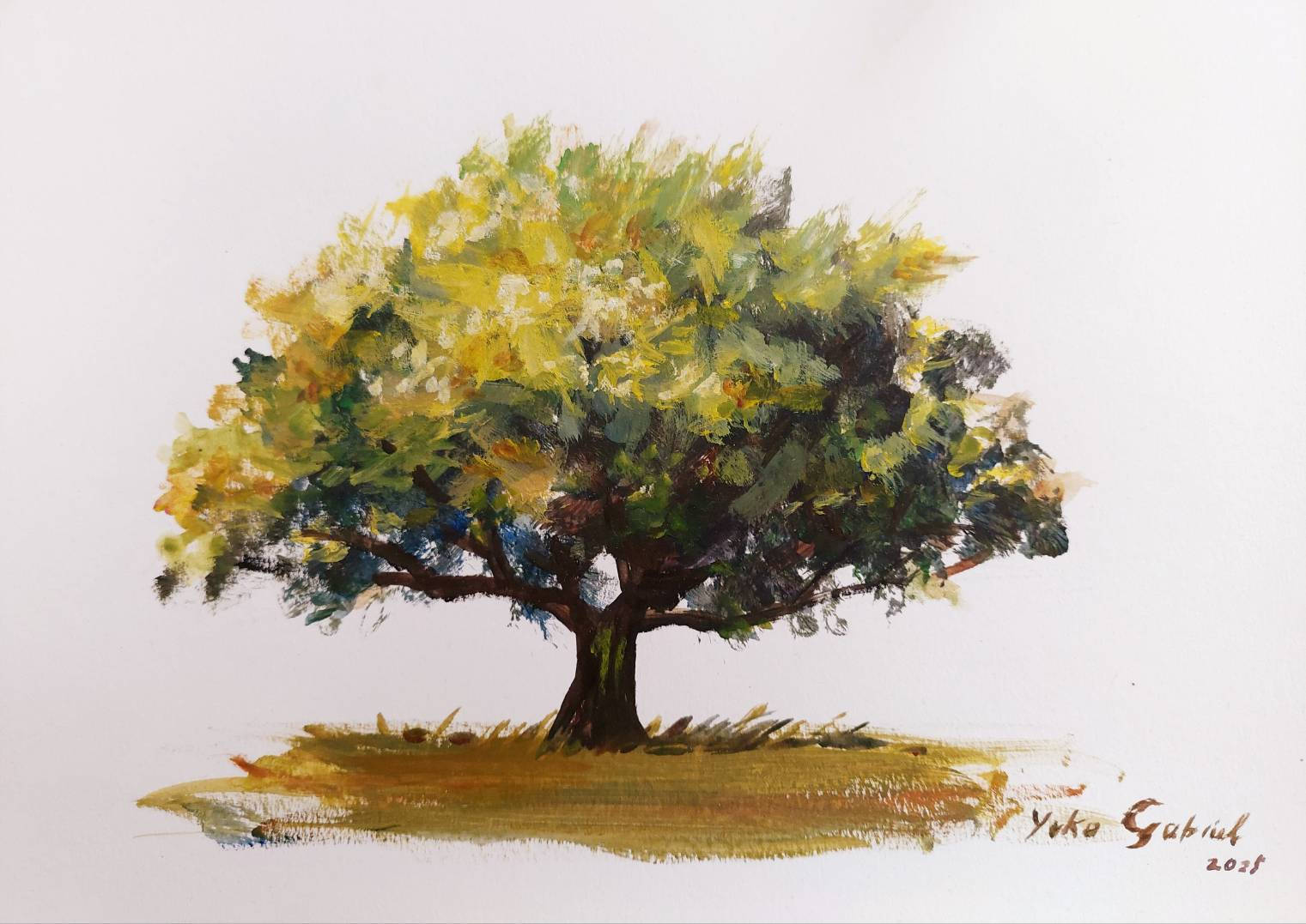 Arbre